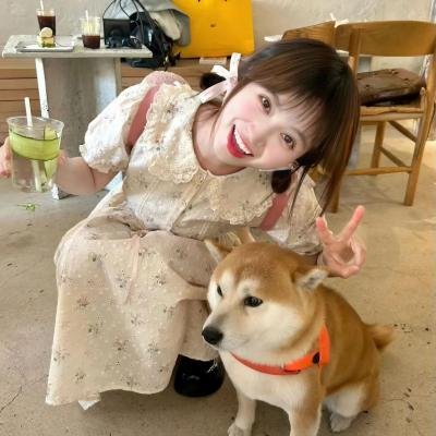 冬春的日子